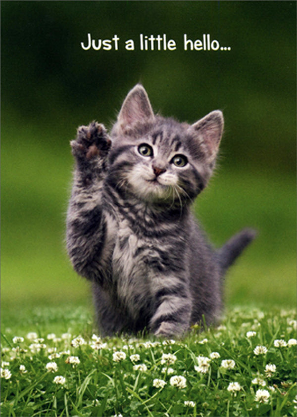 front of card is a photograph of a kitten waving a paw in a field of flowers and front text in white