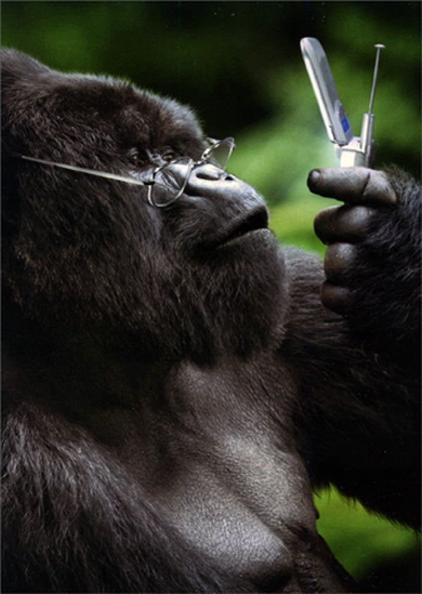front of card has a gorilla wearing glasses looking at a flip phone
