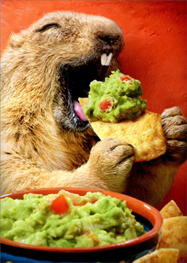 front of card is a photograph of a ground hog eating guacamole on a chip
