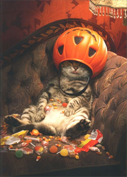 front of card is a photograph of a cat on a couch with jack-o-lantern bucket and candy spilled 