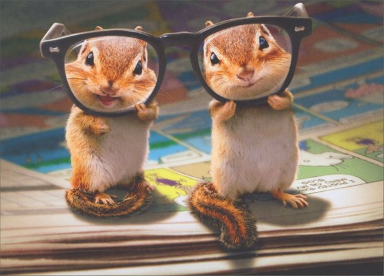 front of card is a photo of two chipmunks each looking through the lenses of a pair of glasses standing on a comic strip