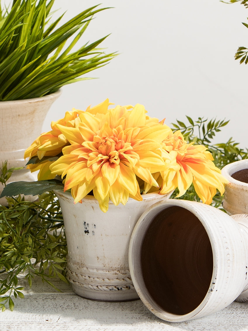 glazed ceramic pot filled with bright yellow flowers and displayed next to potted grass on a white background