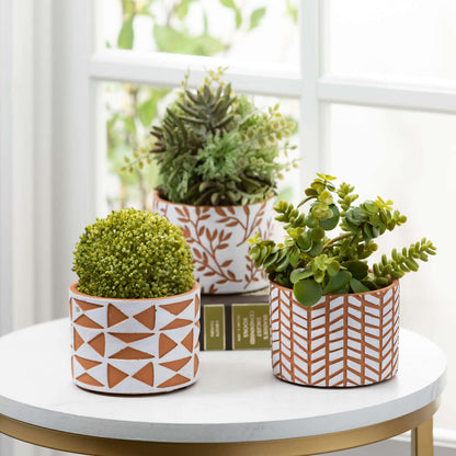 3 terracotta pots filled with greenery on a table in front of a window.