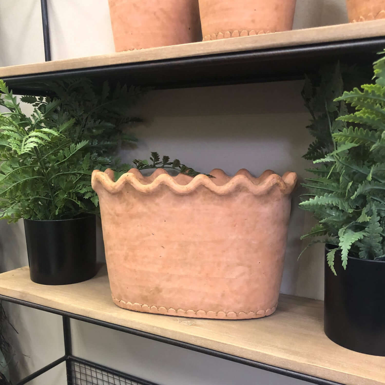 planter on wooden shelf with ferns on either side.