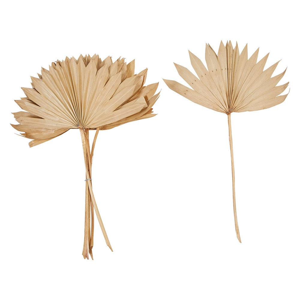 stack of dried natural palm leaves next to a single dried palm leaf on a white background