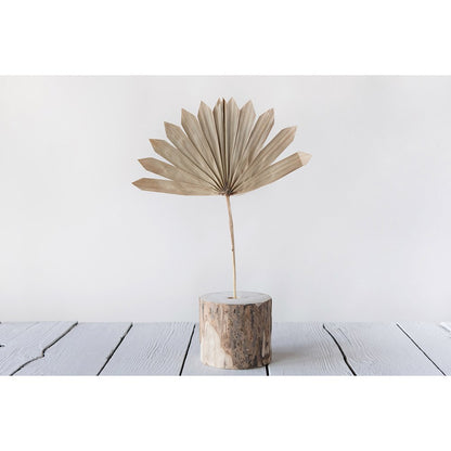 dried natural palm leaf displayed in a round wood block on a wooden table against a light gray background