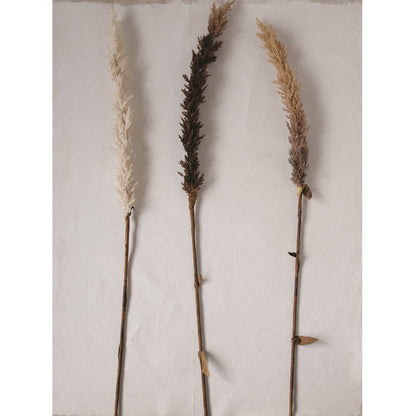 three faux flocked grass plumes on a white background
