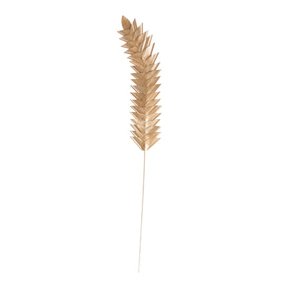 hand woven palm leaf stem on white background.