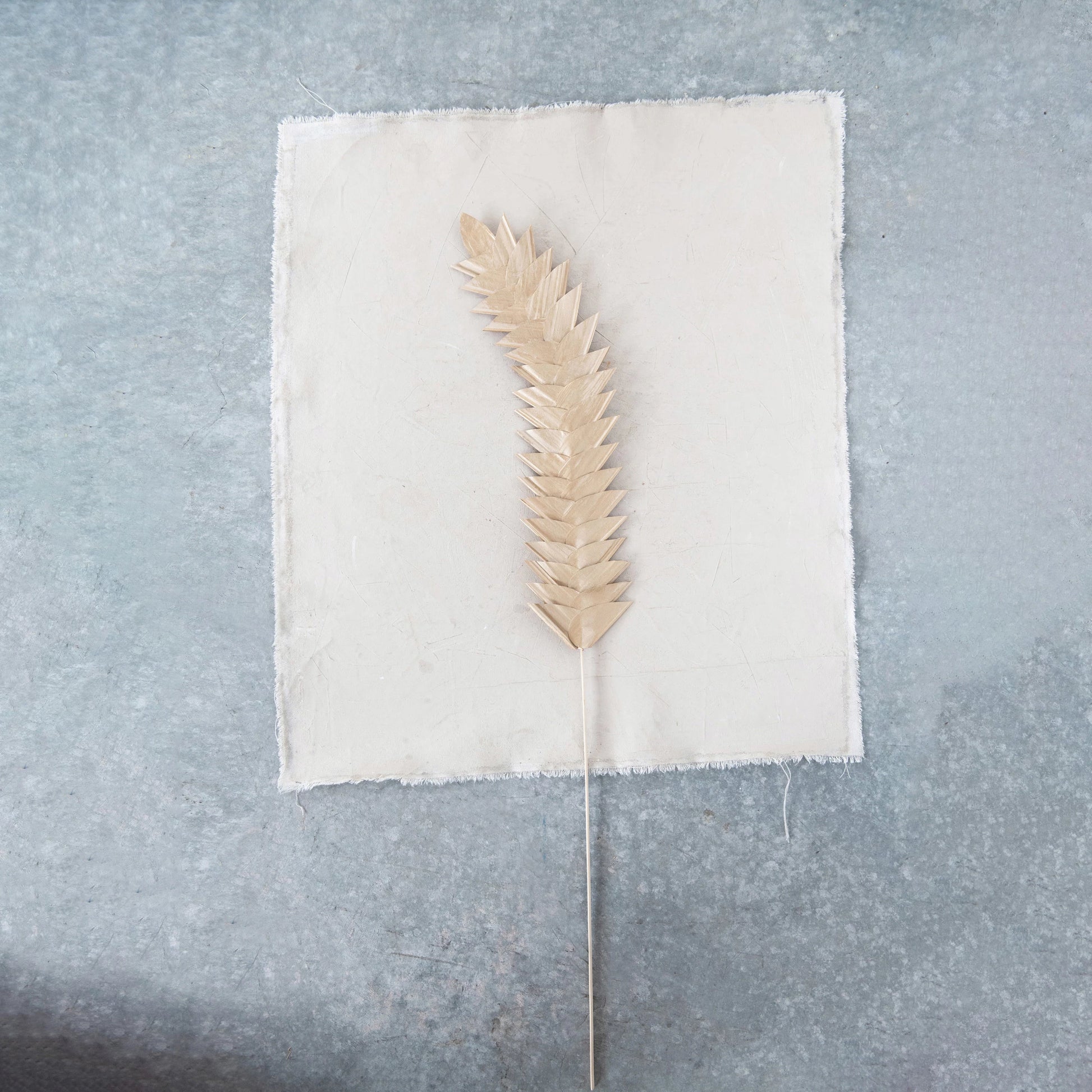 golden palm stem laying on a piece of linen.