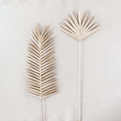 2 assorted palm stems on an off-white plaster wall.