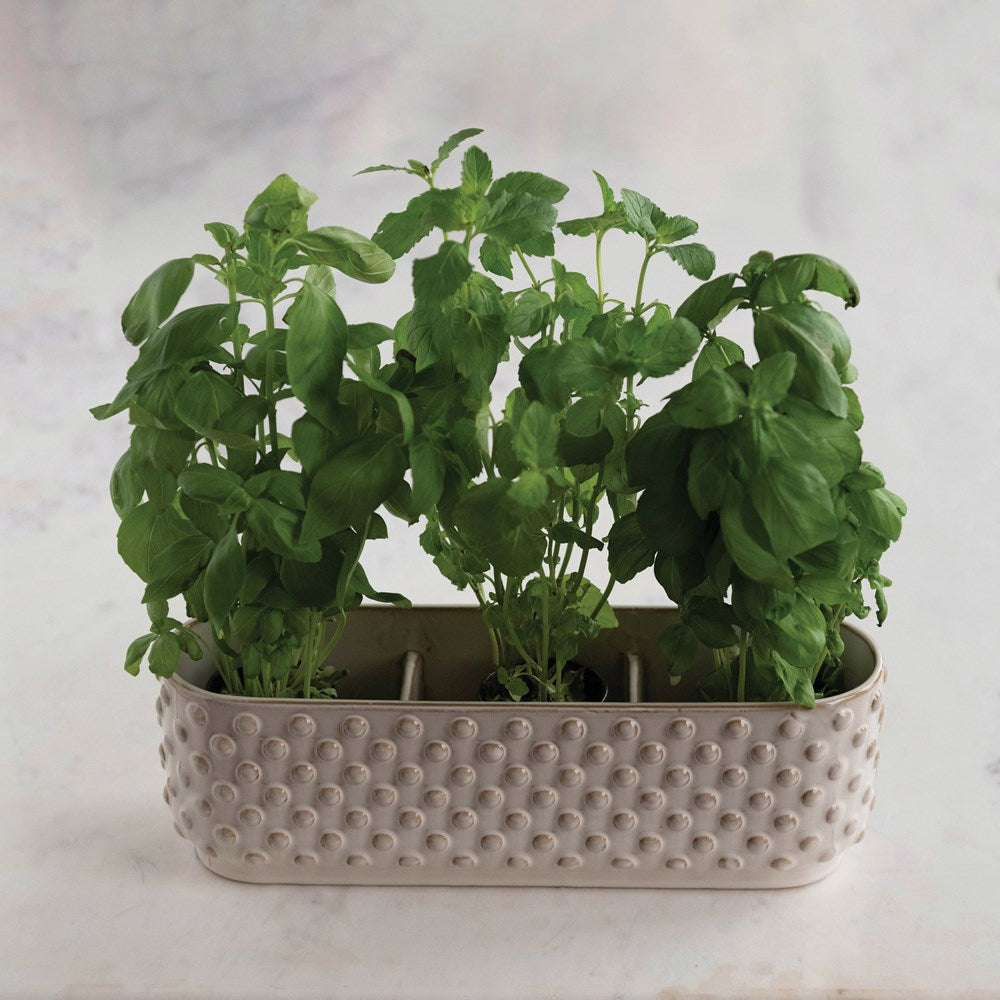 White three sectioned planter with dotted design filled with growing herbs.