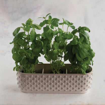 White three sectioned planter with dotted design filled with growing herbs.