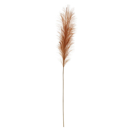 salmon pampas grass plume on a white background