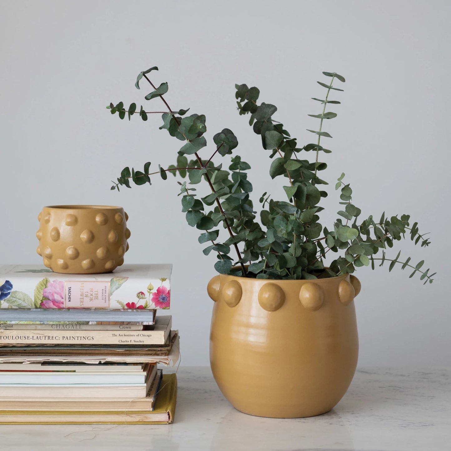 small planter set on stack of books and large planter filled with eucalyptus.