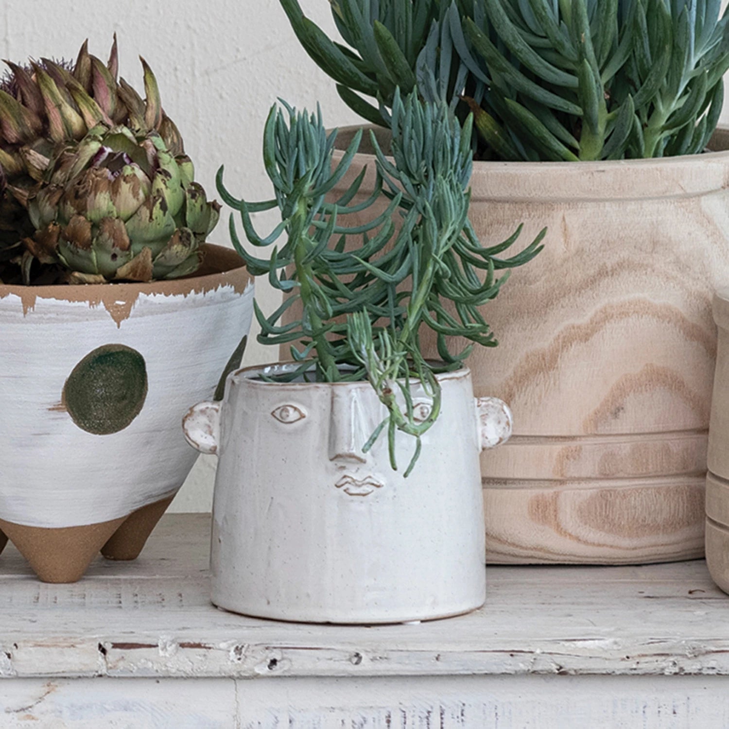 off-white planter with simple face design on the front filled with succulent and  surrounded by other potted plants.