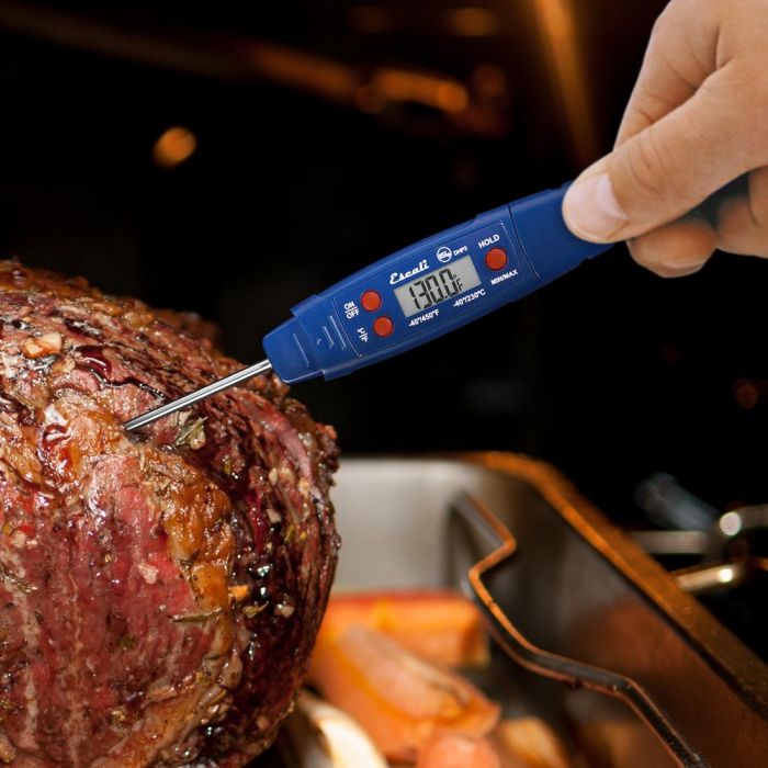 waterproof digital thermometer being used in a roast  with the oven in the background