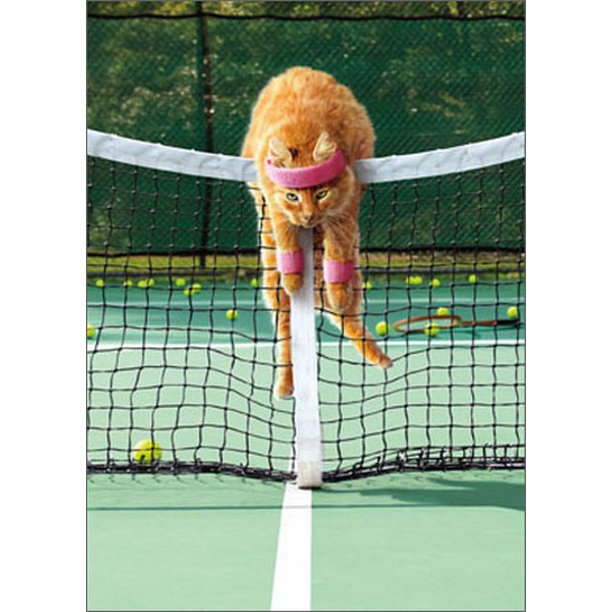 front of card is a photograph of a cat leaning over a tennis net looking exhausted with lots of balls on the ground