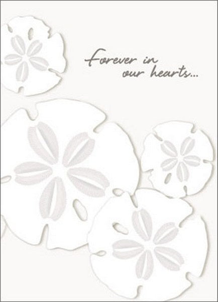 front of card is a drawing of sand dollars and text saying forever in our hearts