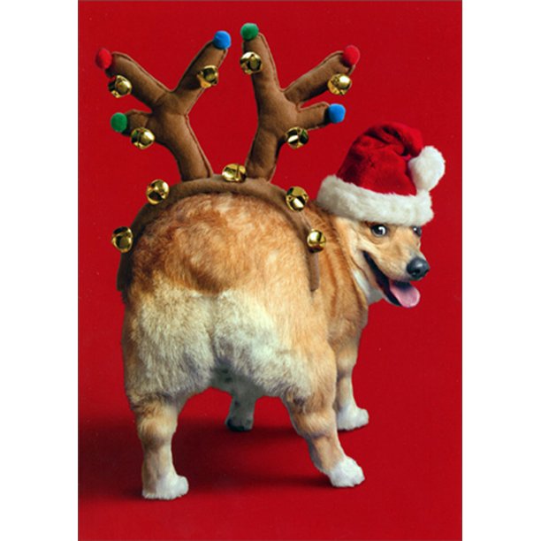 front of card is red with a corgi wearing a santa hat and reindeer antlers with bells on his butt 