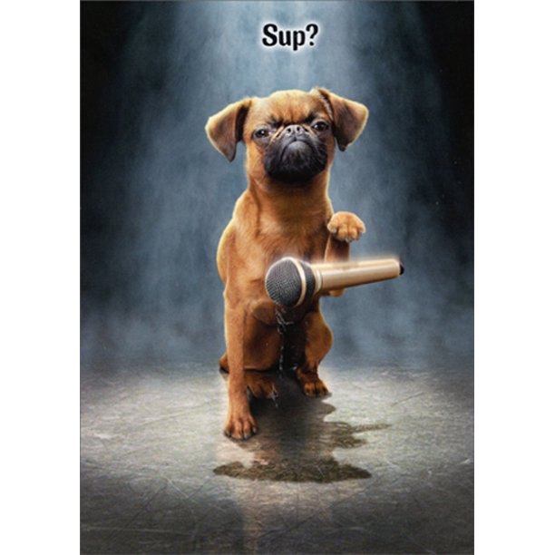 front of card is photograph of a dog doing a mic drop with the word sup above it's head
