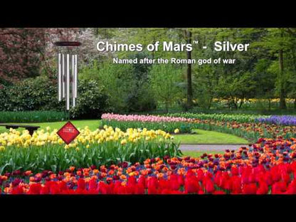 video of chime sound with tulip gardens in background.