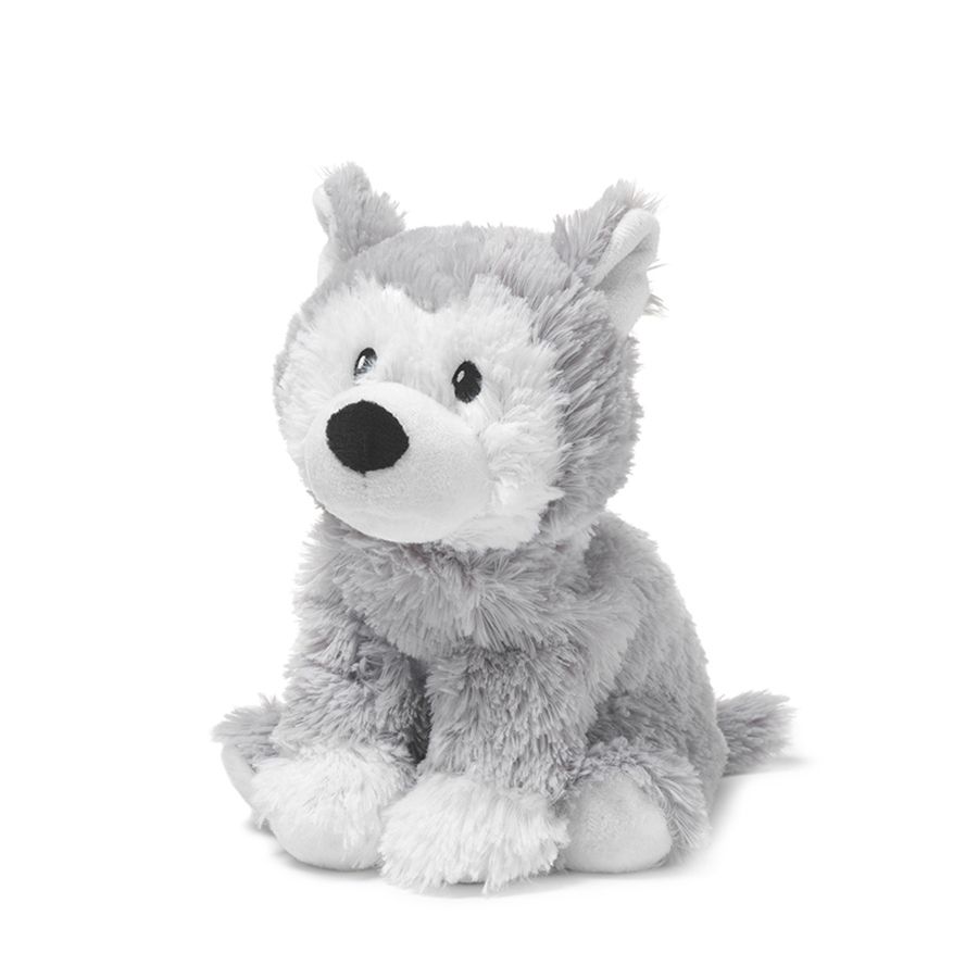 Husky Plush Toy on white background