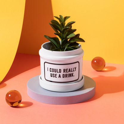 white planter with saucer filled with succulent and "i could really use a drink" printed on it in black set on orange table with yellow background.