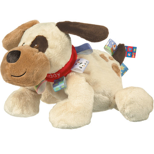buddy dog with ribbon tags on his collar and tail on a white background