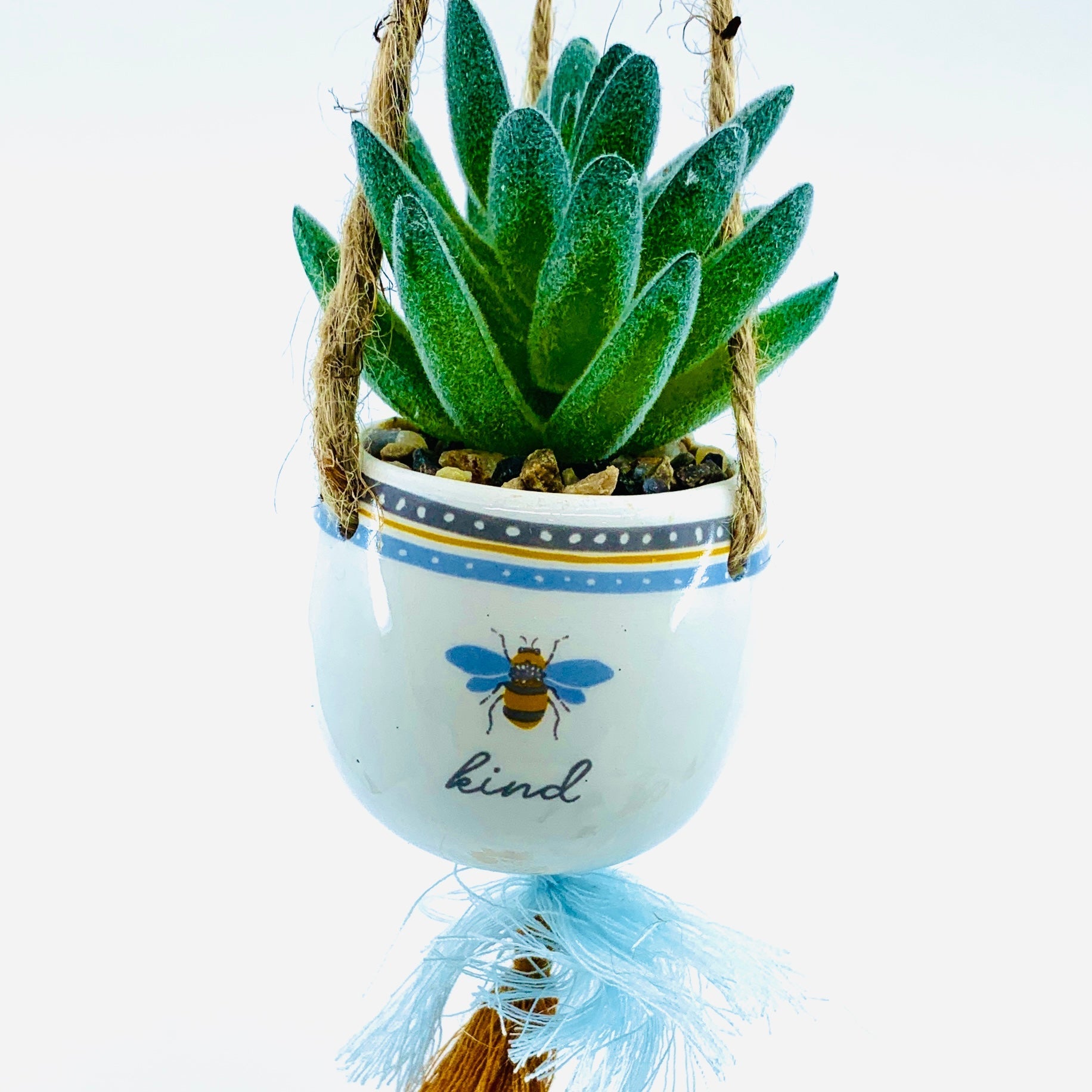 small ceramic pot with a succulent in it hanging form jute twine with a tassel on the bottom, a bee graphic, and "kind" printed on it.