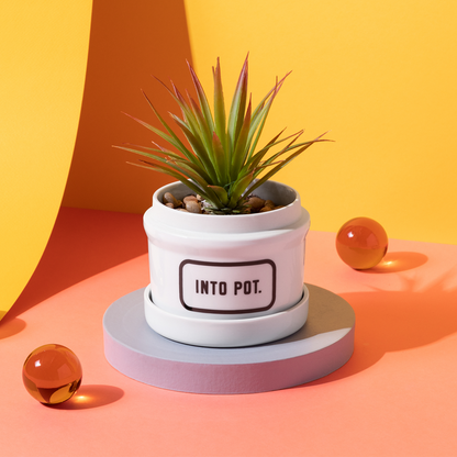 white ceramic planter with "into pot" printed in black set on an orange table with yellow background.