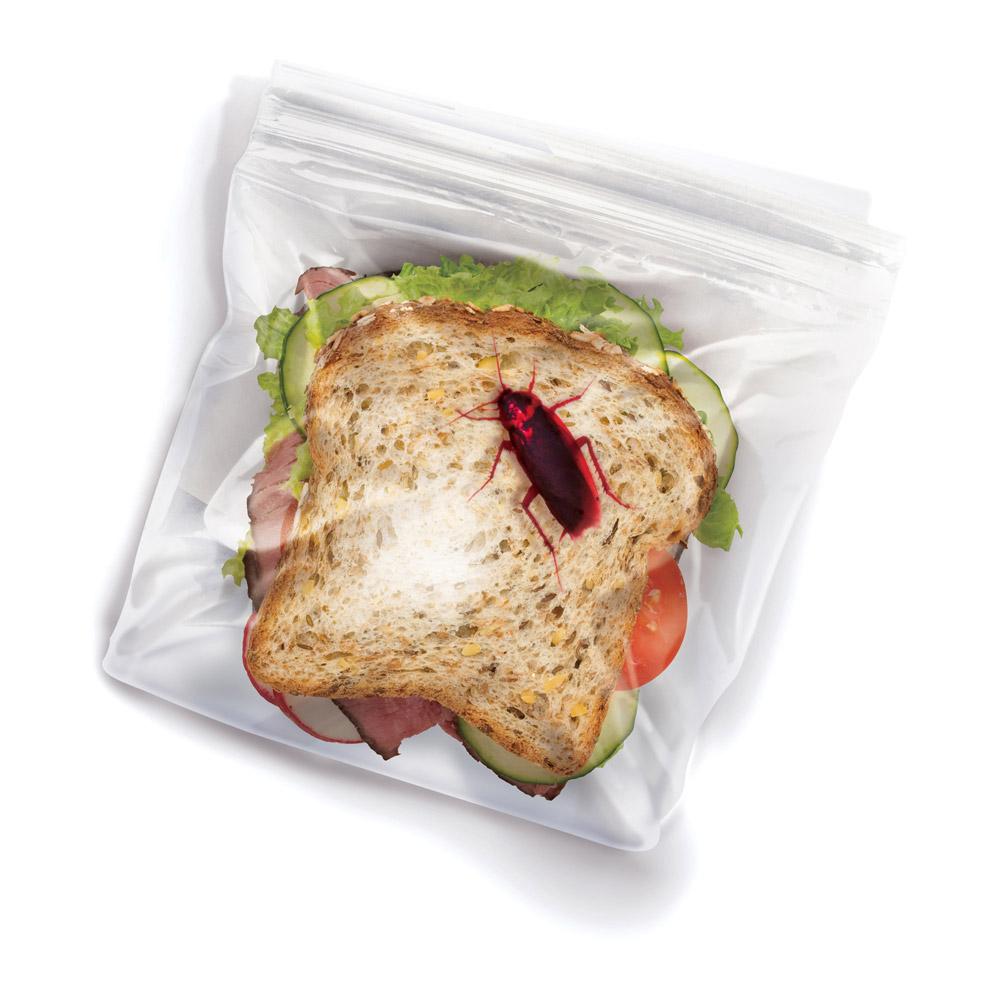 lunch bugs bag on a white background
