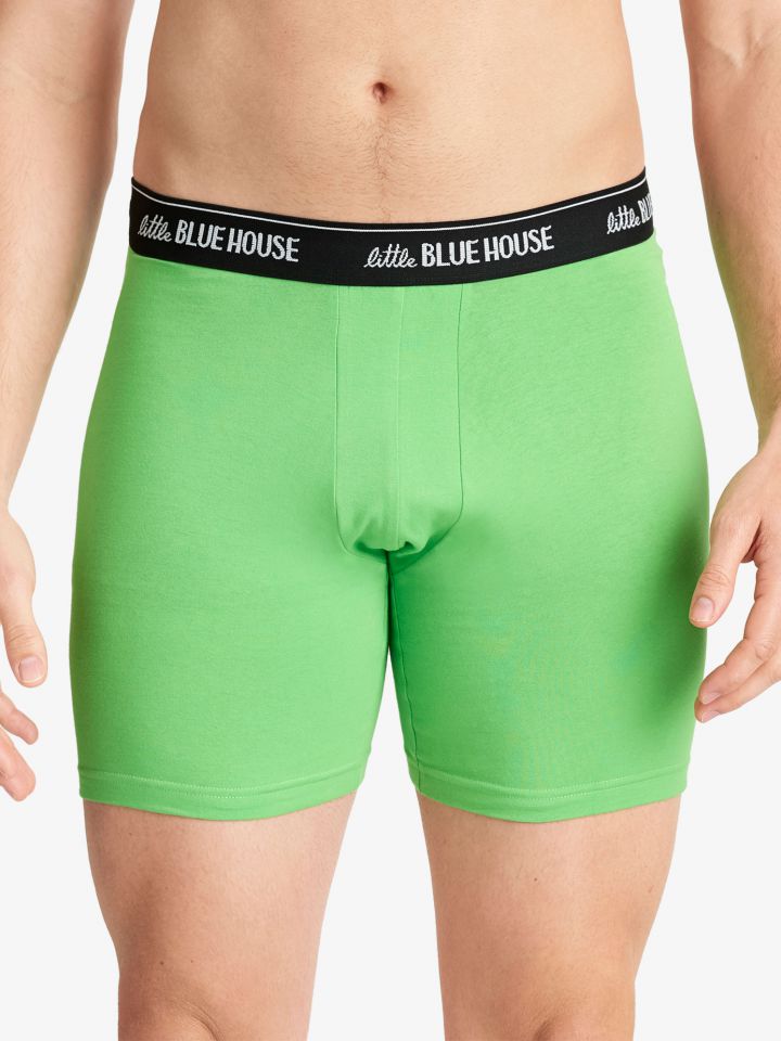 front view of a man wearing the talk birdie to me boxer briefs on a white background