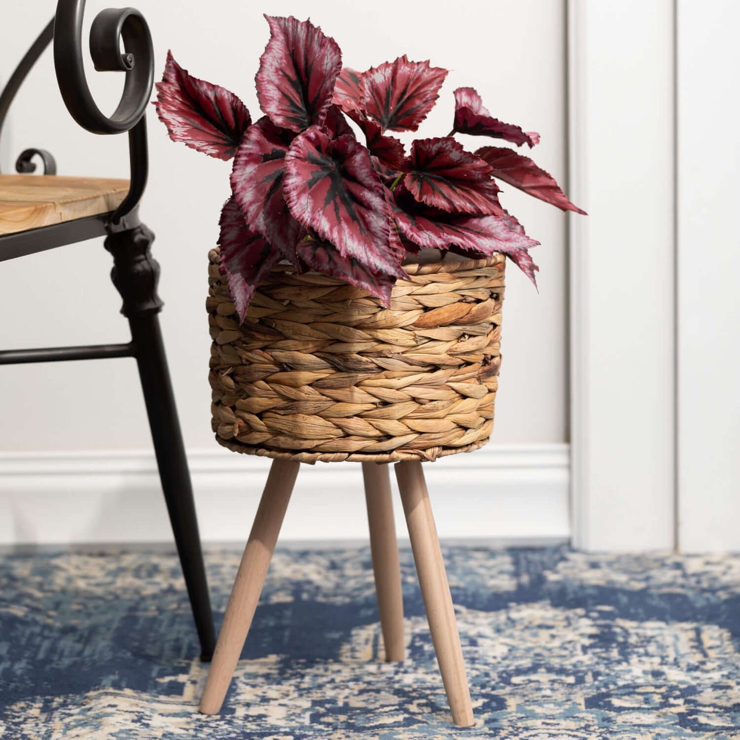 basket planter with plant in it on blue patterned carpet