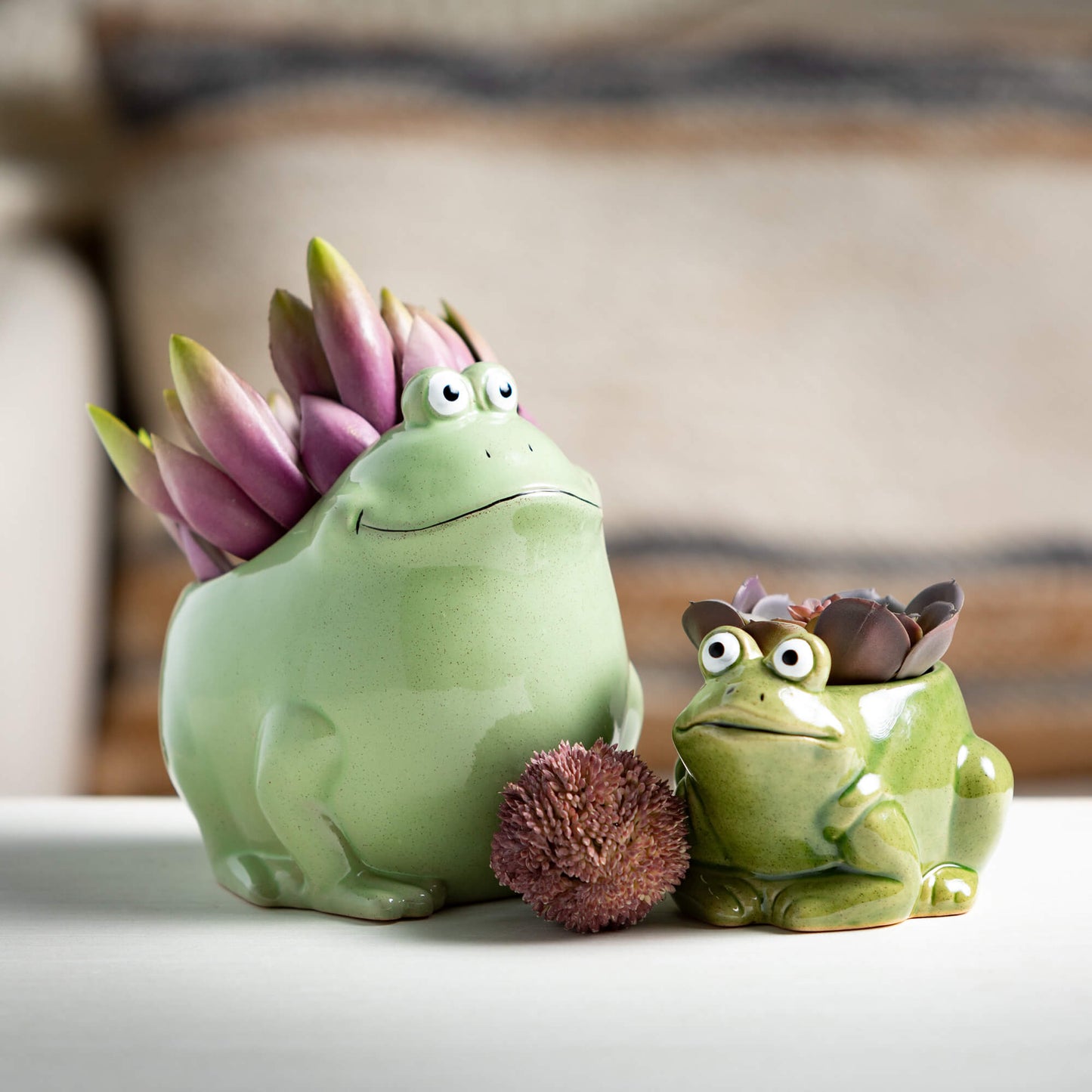 2 sizes of green toad planters filled with succulents.