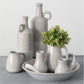 new england boxwood half orb displayed on a clay vase surrounded by multiple clay vases