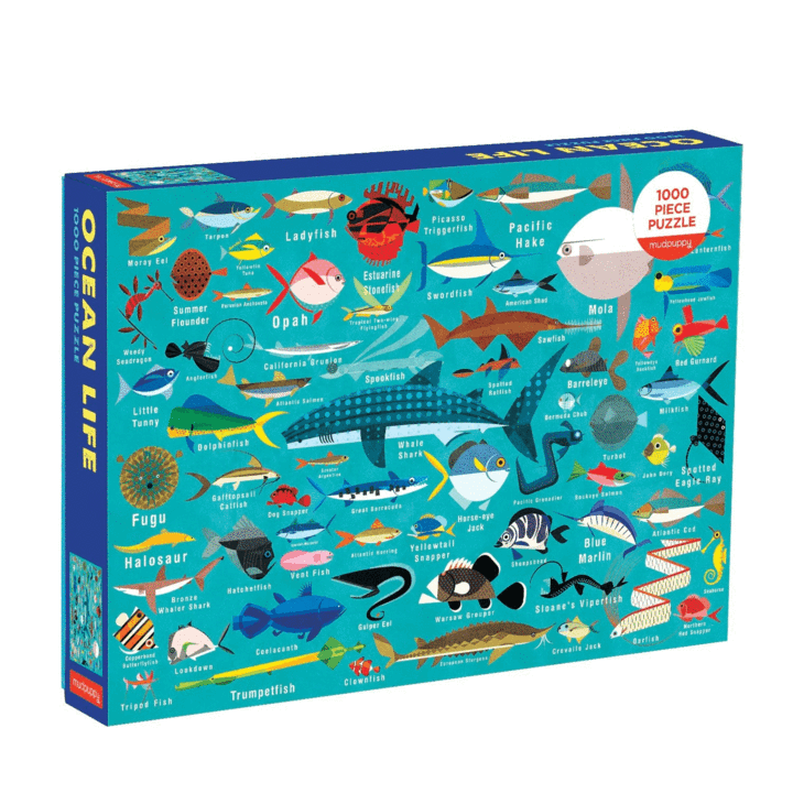 front of puzzle box filled with ocean creatures