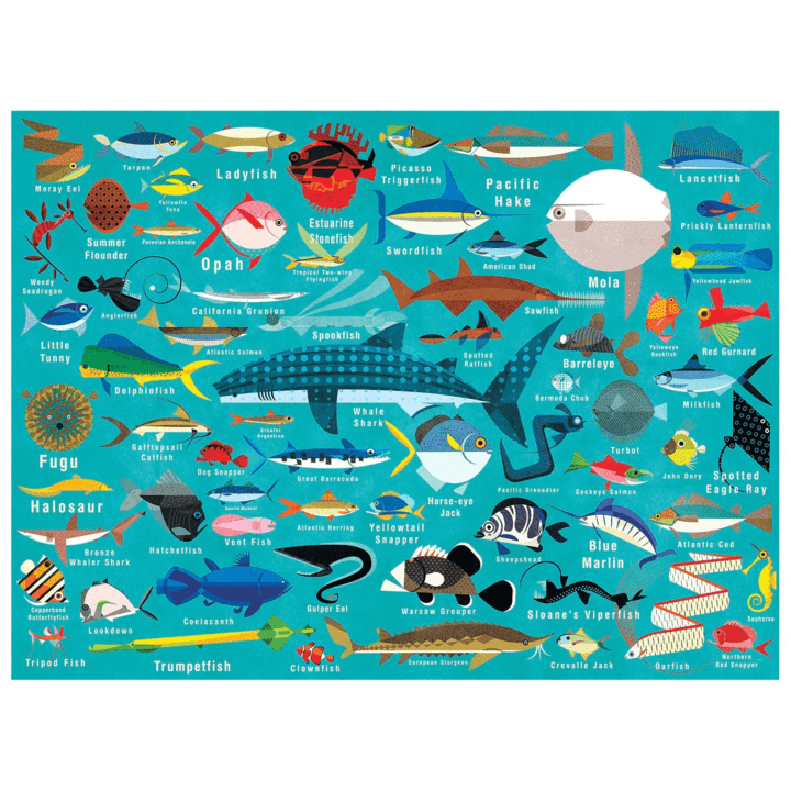 completed puzzle of ocean life puzzle