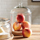 cloche and base with apples inside sitting on a wooden table