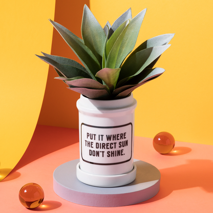 white planter with saucer filled with succulent and "put it where the direct sun don't shine" printed on it black set on orange table with yellow background.