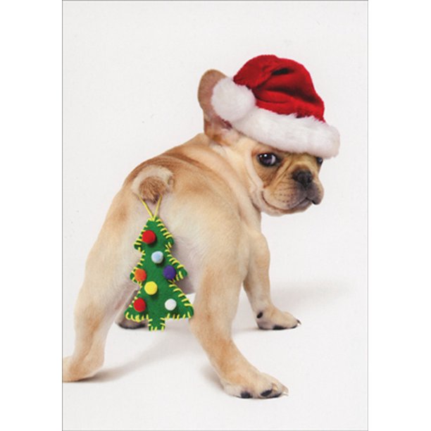 front of card is a photograph of a puppy wearing a santa hat and a christmas tree ornament of a tree hanging off it's tail.