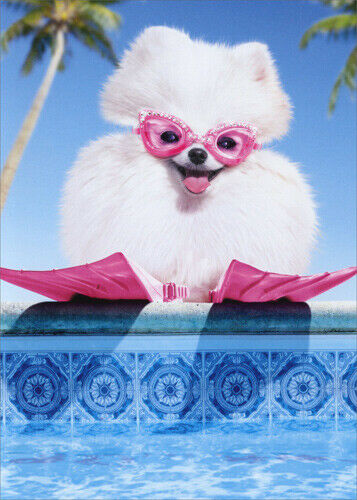 front cover of card and a fluffy white dog wearing pink fins and goggles next to a swimming pool