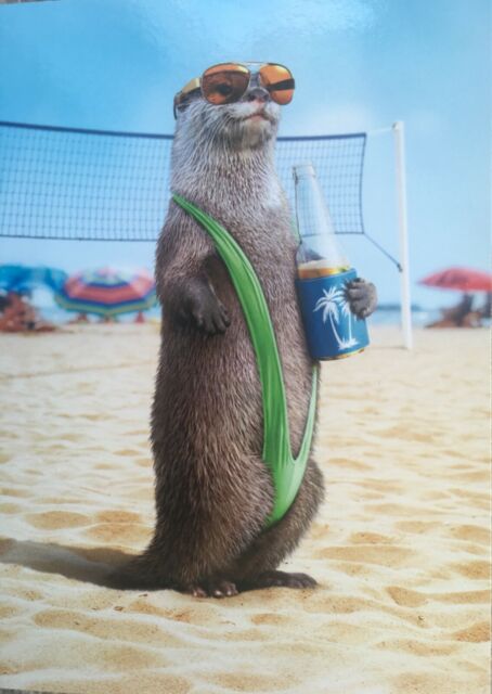 front of card is a photograph of an otter standing on the beach with a beer and bathing suit