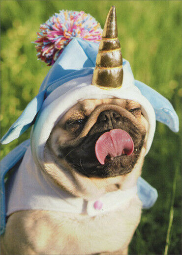 front of card is a photograph of a pug wearing a unicorn outfit