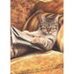 front of card is a photograph of a cat laying on a couch reading the newspaper looking annoyed from being interupted
