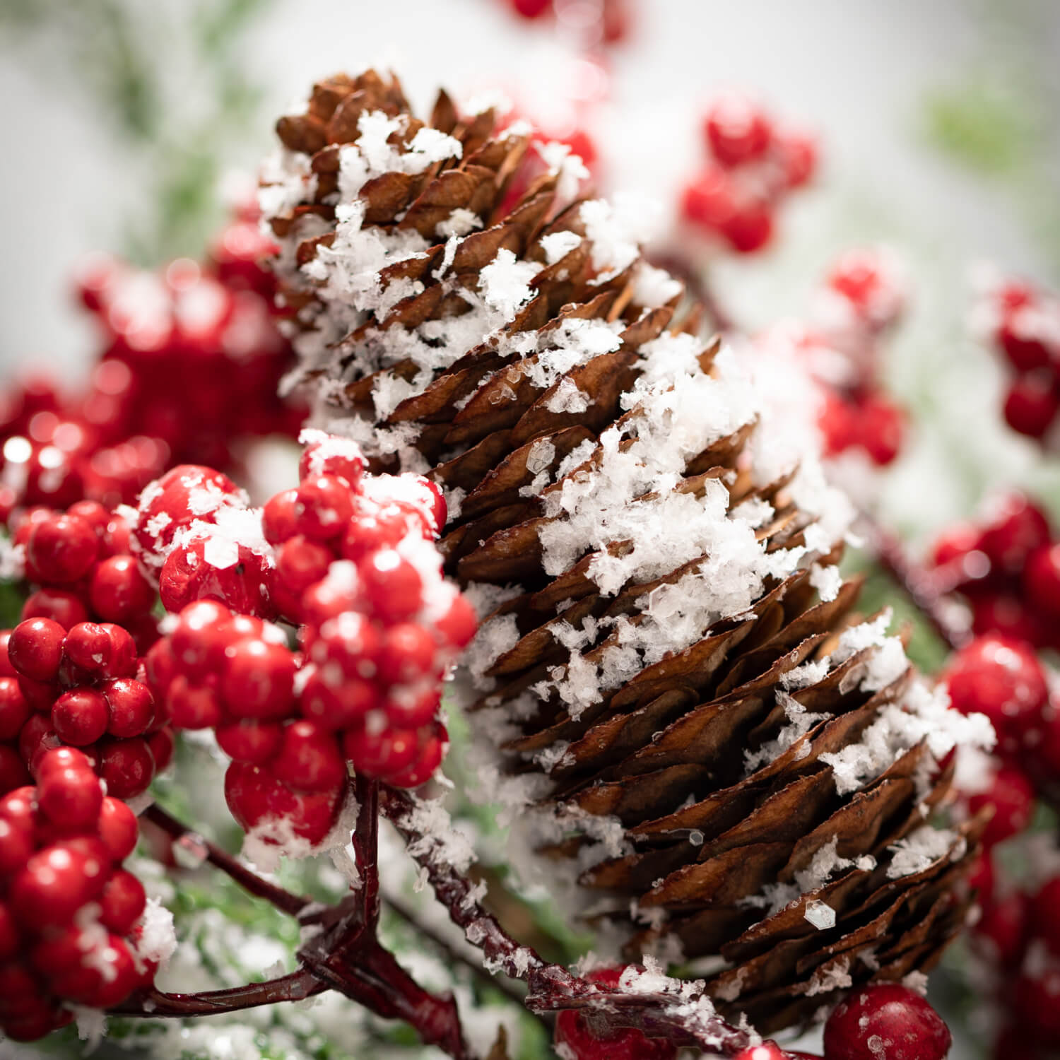 close-up of pine cones and berries.