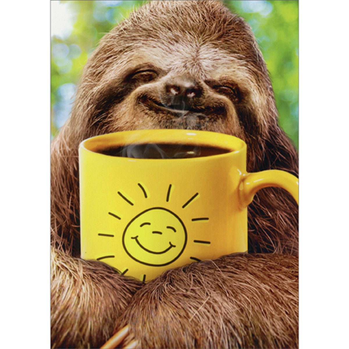 front of card has a sloth hugging a yellow mug of coffee with a sunshine on it