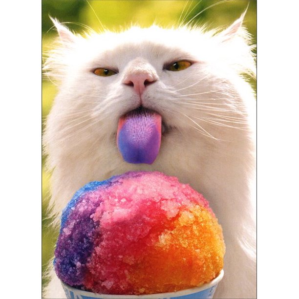 front of card has a white cat licking a rainbow snow cone