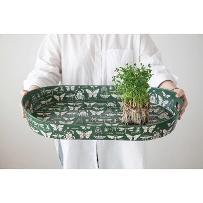 a person holding the decorative metal tray with handles with a plant against a light gray background