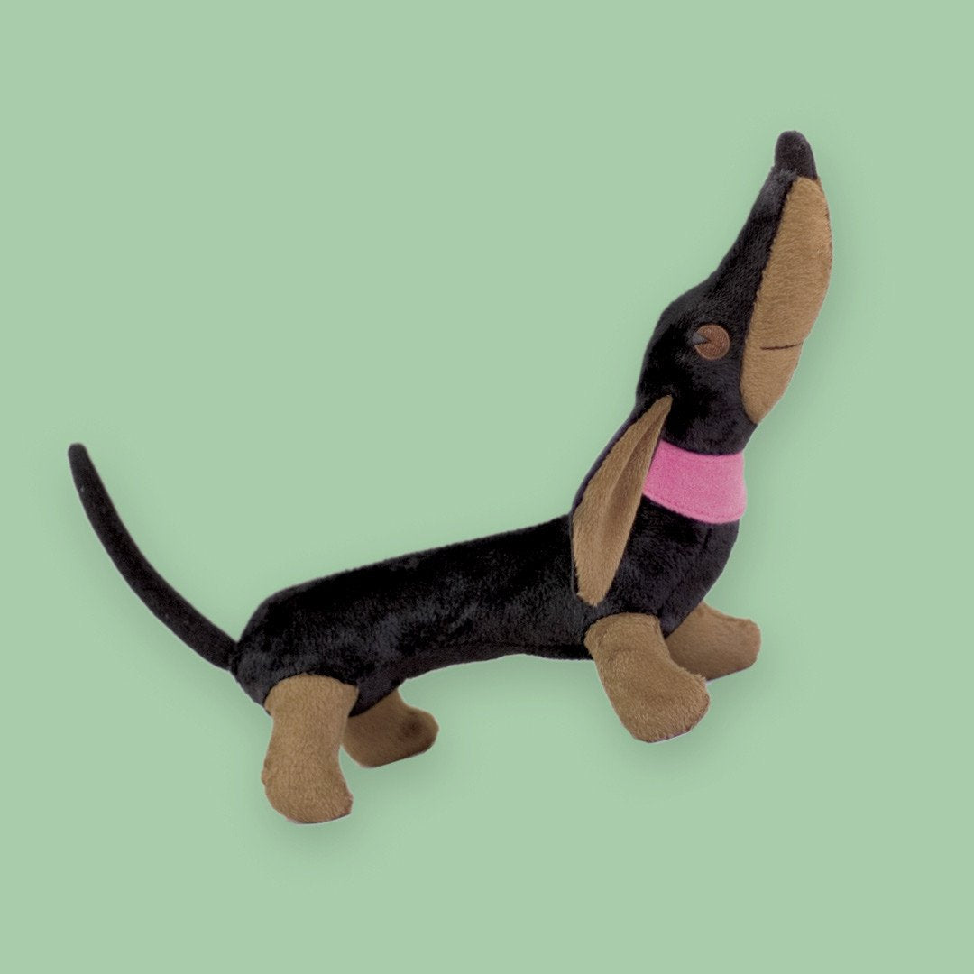 whistle for willie the dog plush toy on a turquoise background