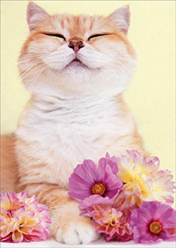 front of card has a orange cat smiling with flowers in front of it